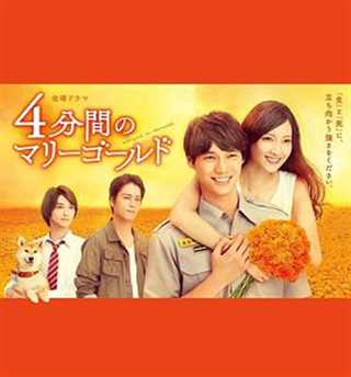 免费在线观看完整版日韩剧《四分钟的金盏菊》