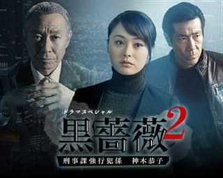 免费在线观看完整版日韩剧《黑蔷薇2》