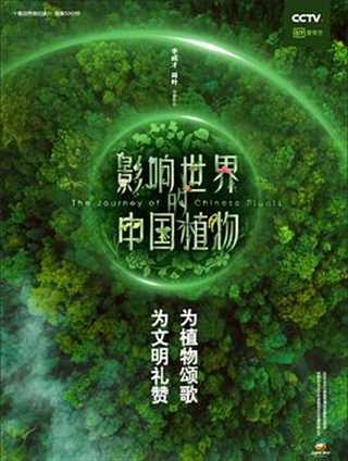 免费在线观看《影响世界的中国植物》
