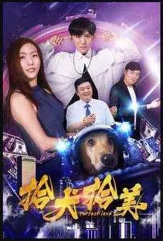 免费在线观看《拾犬拾美》