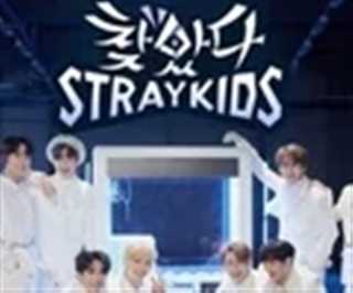 免费在线观看《找到了StrayKids》