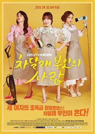 免费在线观看完整版日韩剧《车达莱夫人的爱情》