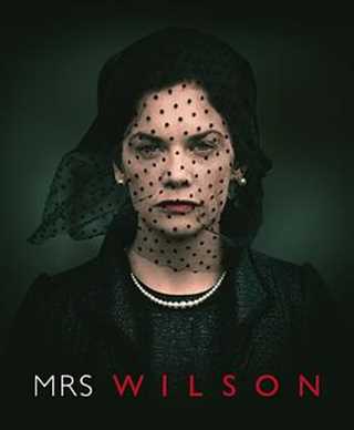 免费在线观看完整版欧美剧《威尔森夫人》