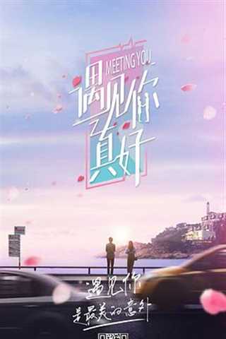 免费在线观看《遇见你真好剧情升级版》