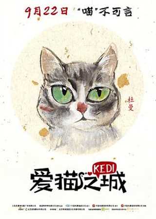 免费在线观看《爱猫之城 土耳其版》