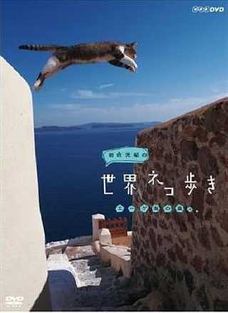 免费在线观看完整版日韩剧《岩合光昭的猫步走世界》