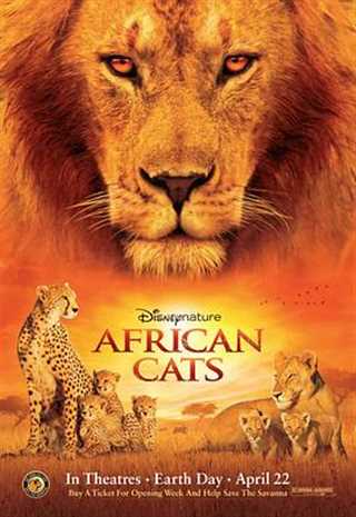 免费在线观看《非洲猫科》