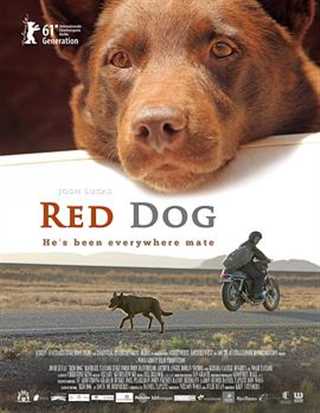 免费在线观看《红犬历险记》