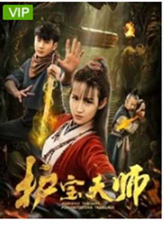 免费在线观看《护宝天师》