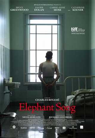 免费在线观看《大象之歌》