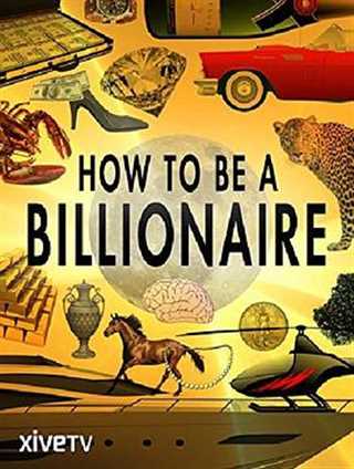 免费在线观看《如何成为亿万富翁》