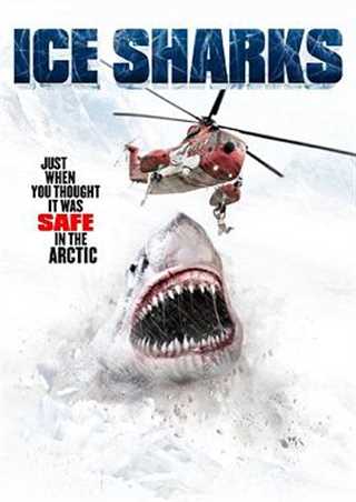 免费在线观看《冰川鲨鱼》