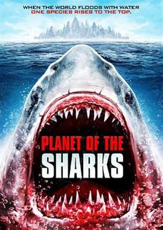 免费在线观看《鲨鱼星球》
