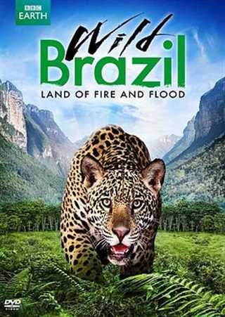 免费在线观看《狂野巴西野性的巴西》