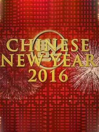 免费在线观看《中国新年：全球最大庆典》