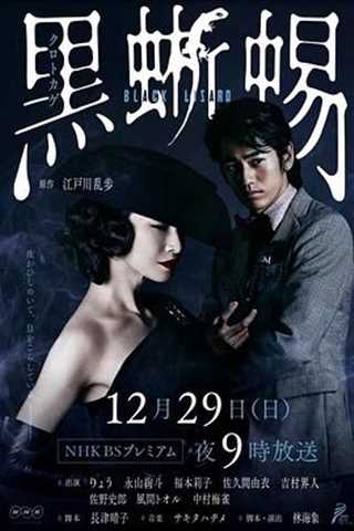 免费在线观看完整版日韩剧《黑蜥蜴》