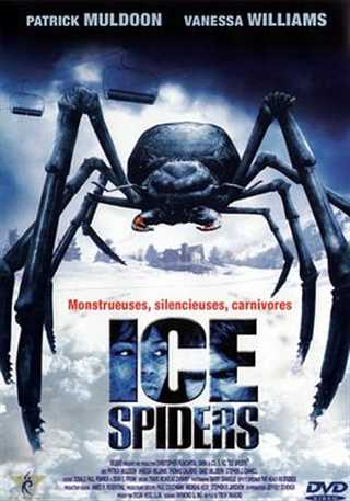 免费在线观看《冰冻蜘蛛》