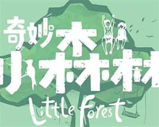 免费在线观看《奇妙小森林》