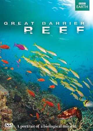 免费在线观看《大堡礁》