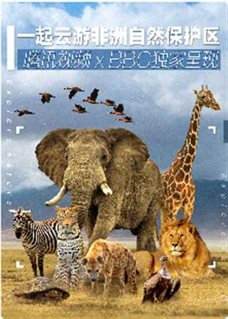 免费在线观看《一起云游非洲自然保护区》