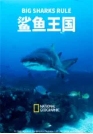 免费在线观看《鲨鱼王国》