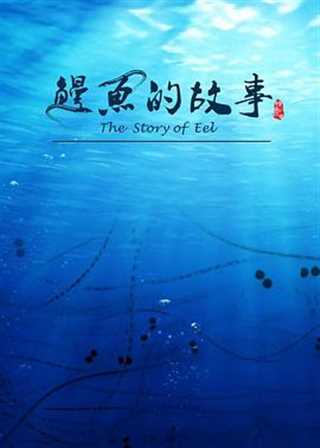 免费在线观看《鳗鱼的故事》