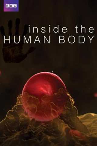免费在线观看《人体奥秘》