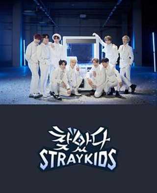 免费在线观看《找到了Stray Kids》