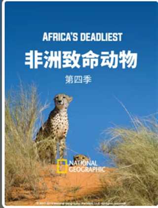 免费在线观看《非洲致命动物 第四季》