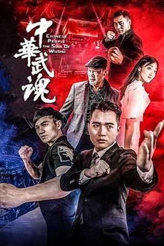 免费在线观看《中华武魂》