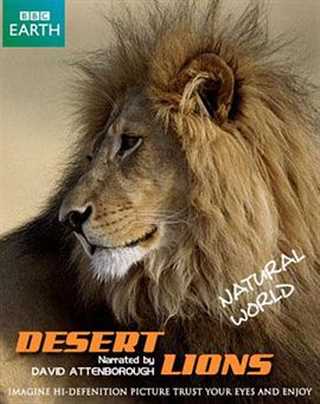 免费在线观看《自然世界：沙漠狮》
