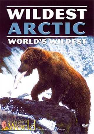 免费在线观看《野性北极》