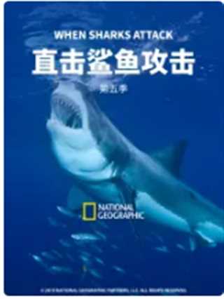 免费在线观看《直击鲨鱼攻击 第五季》