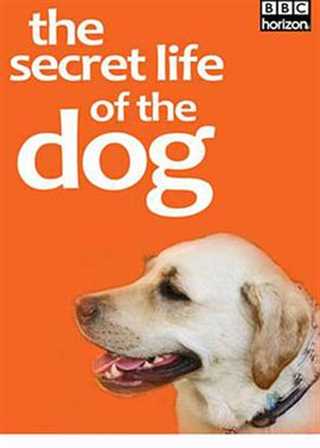 免费在线观看《地平线系列：狗狗秘闻》