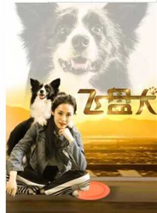 免费在线观看《飞盘犬》