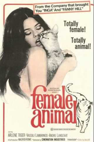 免费在线观看《雌性动物》