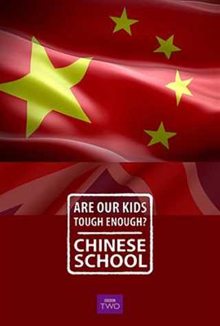 免费在线观看《我们的孩子足够坚强吗？中式学校/BBC JHSJH SDKBN 中式教育》