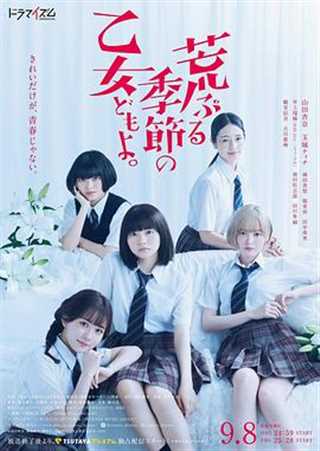 免费在线观看完整版日韩剧《骚动时节的少女们啊》