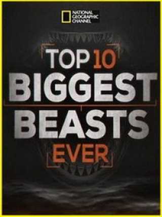 免费在线观看《十大巨兽排行榜》