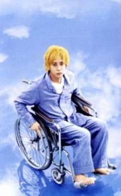 免费在线观看《坐着轮椅飞上天空》
