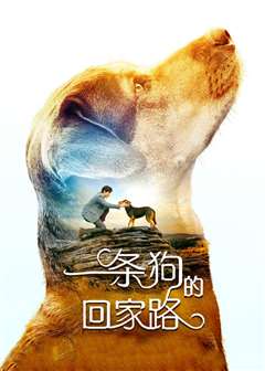 免费在线观看《一条狗的回家路(普通话版)》