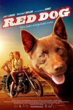 免费在线观看《科科：红犬历险记》