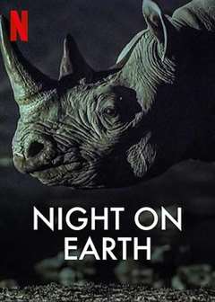 免费在线观看《地球的夜晚03》