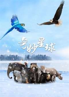 免费在线观看《奇妙星球中文版》
