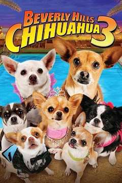 免费在线观看《比佛利拜金狗3 Beverly Hills Chihuahua 3》