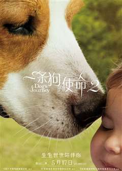免费在线观看《一条狗的使命2(普通话版)》