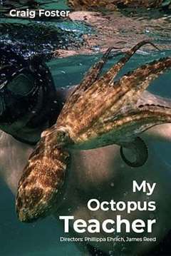 免费在线观看《我的章鱼老师 My Octopus Teacher》