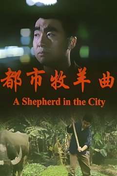 免费在线观看《都市牧羊曲》