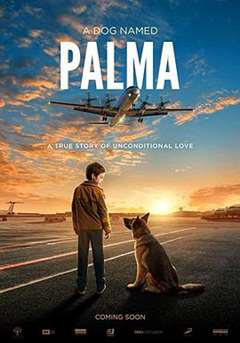 免费在线观看《忠犬帕尔玛》