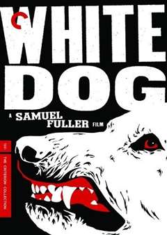 免费在线观看《白狗》